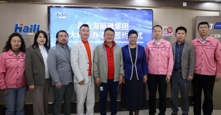 青島海麗雅集團